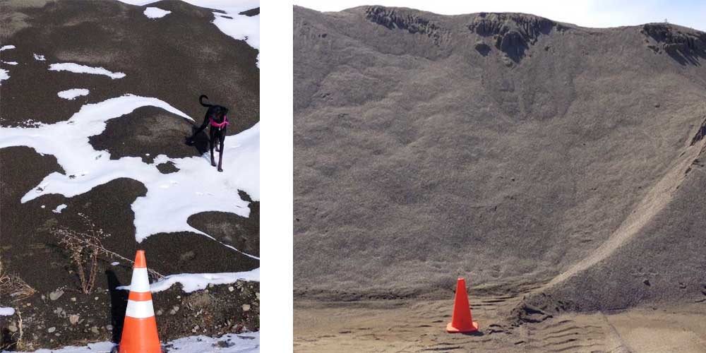 A dog jumped on a stockpile while it was being measured in February of 2014, and a different pile in the Midwest.